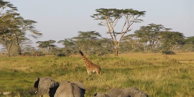 5 days tanzania private safari package by widerange african safaris - Photo 42