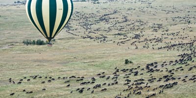 5 days tanzania private safari package by widerange african safaris - Photo 92