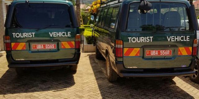 5 days uganda gorillas and chimps trekking safari - Photo 8