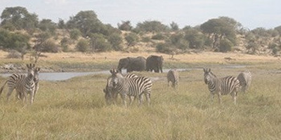 6 day salt pan safari in botswana - Photo 2