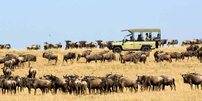 5-day serengeti wildebeest migration camping expedition - Photo 1