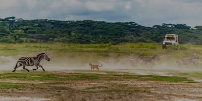 6-day tanzania budget safari, waterfalls and hot springs - Photo 2