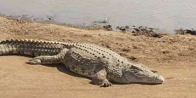 6-day wildlife safari across kenya’s top national parks - Photo 5