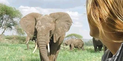 6-day wildlife safari across kenya’s top national parks - Photo 11