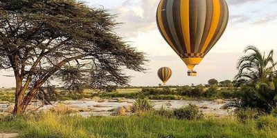 6-day wildlife safari across kenya’s top national parks - Photo 12