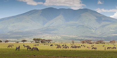 6 days 5 nights maasai mara, lake nakuru & amboseli safari (small group joining) - Photo 3