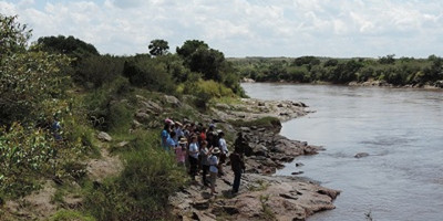 6 days 5 nights maasai mara, lake nakuru & amboseli safari (small group joining) - Photo 6