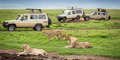 6 days 5 nights serengeti king of the jungle safari - Photo 6
