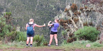 6 days machame route kilimanjaro hiking group departure 2026/2027 - Photo 9