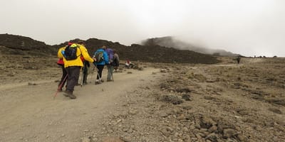 6 days machame route kilimanjaro hiking group departure 2026/2027 - Photo 23
