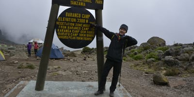 6 days machame route kilimanjaro hiking group departure 2026/2027 - Photo 15