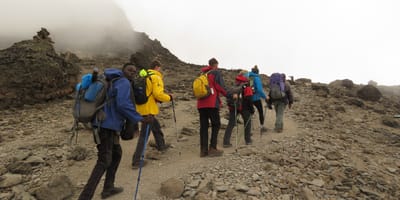 6 days machame route kilimanjaro hiking group departure 2026/2027 - Photo 32
