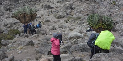 6 days machame route kilimanjaro hiking group departure 2026/2027 - Photo 13