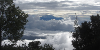 6 days kilimanjaro hiking via machame route with burigi chato safari co l.t.d - Photo 2