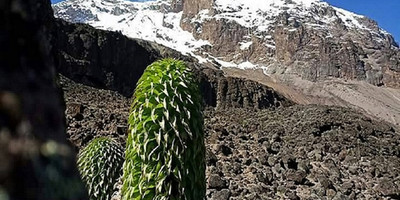 6 days mount kilimanjaro trekking - machame route - Photo 11
