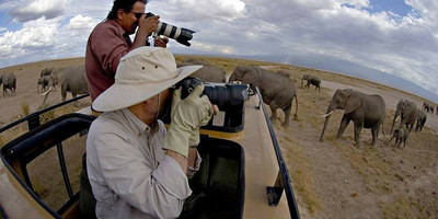 6 daysTanzania Affordable Safari - Photo 1