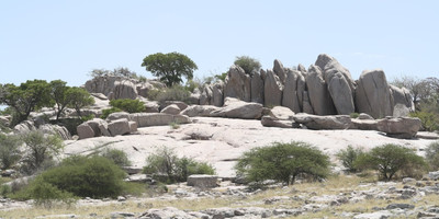 6 nights khama rhino, lekhubu, ckgr - Photo 4