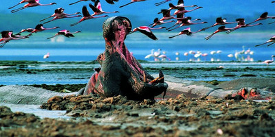 7 Days 6 Nights Samburu, Lake Nakuru, Lake Naivasha & Masai Mara - Photo 1