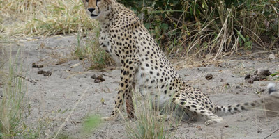 7 days / 6 nights – tanzania safari - luxury - Photo 2