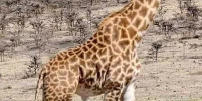 7 days best of tanzania by sassabi expeditions - Photo 12