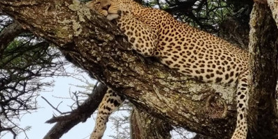 7 days best of tanzania by sassabi expeditions - Photo 13