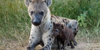 7 days best of tanzania by sassabi expeditions - Photo 3