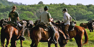 7 days luxury safari - Photo 14