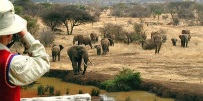 7 days luxury safari - Photo 10