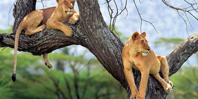 7 days – wildlife & culture - mid range - Photo 6