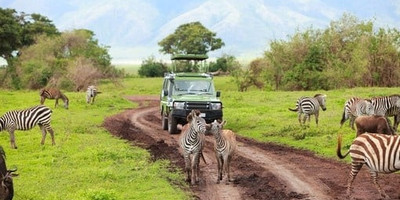  8 days 7 nights tanzania holiday-wildebeest migration - Photo 11