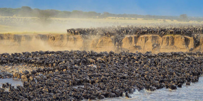  8 days 7 nights tanzania holiday-wildebeest migration - Photo 7