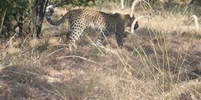 8 days overlanding safari tour in botswana - Photo 2