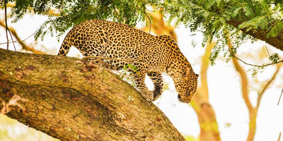 Uganda expedition trip - Photo 7