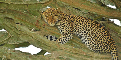 Uganda expedition trip - Photo 8