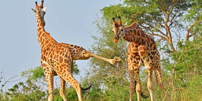 Uganda expedition trip - Photo 10
