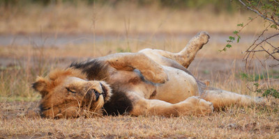 Uganda expedition trip - Photo 4