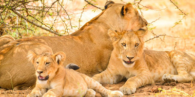 Uganda expedition trip - Photo 5