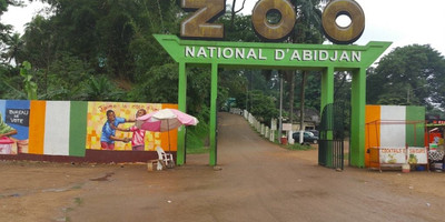 Zoo national d'abidjan - Photo 1