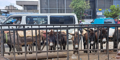 Addis ababa snapshot: half city exploration - Photo 1