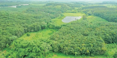 Adjoupa Green Lodge - Photo 1