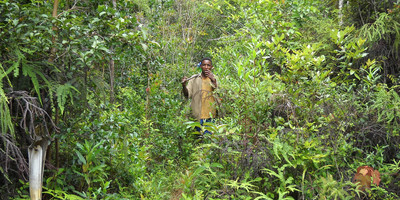 Madagascar eastern treasure - Photo 7