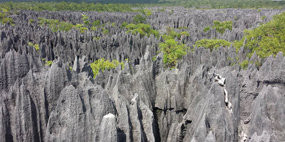 9-day budget tour to tsingy bemaraha, baobab avenue - Photo 4