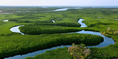 Visiter le delta du saloum - Photo 1