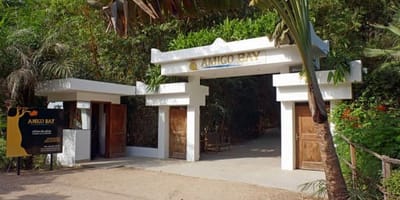 Amigo Bay - Photo 1