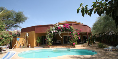 Amour Sénégal - Photo 4