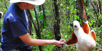 Andasibe national park - Photo 13