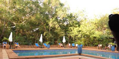 Ankavana lodge - Photo 6