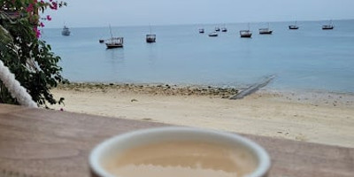 Archipelago waterfront - Photo 2