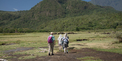 Arusha national park day tour - Photo 2