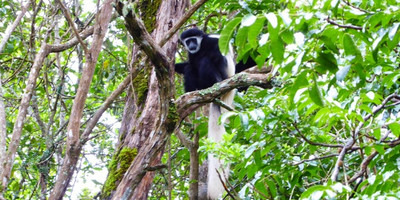 Arusha national park day tour - Photo 4